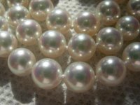 natural white hanadama akoya from pearl paradise