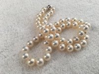 7.5-8 mm metallic white freshwater pearls from Pearl Paradise.jpg