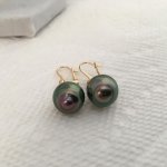 Peacock Tahitian pearl circled earrings