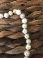 Are those Freshwater or South Sea pearls?