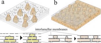 ColumnarVTerraced.jpg