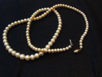 Pearl Necklace.jpg