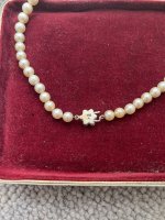 Mikimoto vintage assistance please