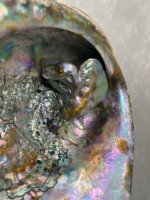 Abalone Blister Pearl4.jpg