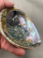 Abalone Blister Pearl6.jpg