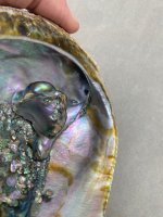 Abalone Blister Pearl7.jpg