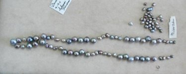 Keshi & Pearl Necklace 001.jpg