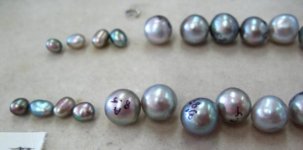 Keshi & Pearl Necklace 1 (4) [640x480].jpg