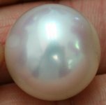 Paspaley Pearl.jpg