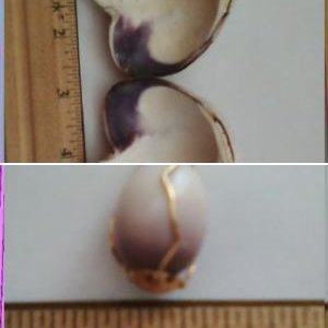 Large rare Long Island natural pearl