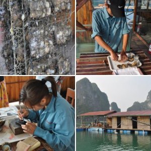 Vietnamese pearl farm in HaLong Bay