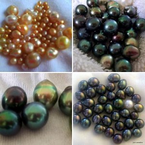 Tahitian Pearls