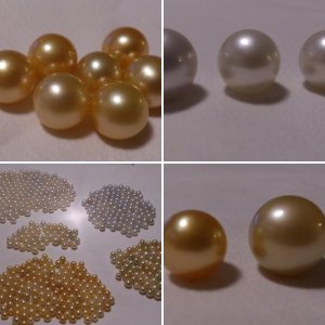 Sout Sea Pearls ( For Sale )