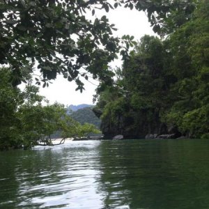 an estuary. at the mouth of the underground river, palawan