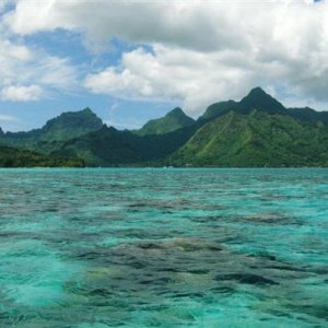 tahiti1