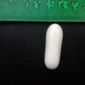 Natural Pearl of  Tridacna Gigas's Scalop