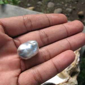 Natural Pearl of Pinctada Maxima in my hand