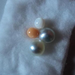 Conch, Tridacna, and Cultured Pearls