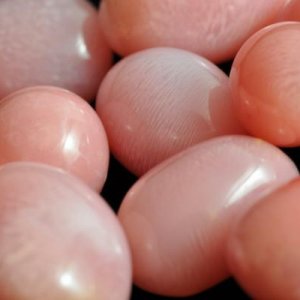 Assortment of fine Conch Pearls