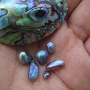 wild abalone pearls