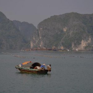 beautiful bay into HaLong Pearl farm