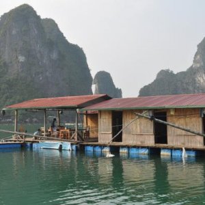 HaLong pearl farm operation