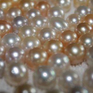 Lombok South Sea Pearl