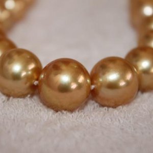 Golden South Sea pearl