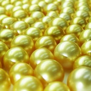 Golden South Sea Pearls