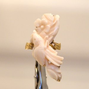 Coral ring 1