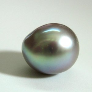 Cortez Pearl