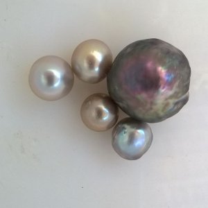 The largest Cortez Pearl ever produced. From the 2014 Harvest and made by Douglas McLaurin. The pearl is next to 9 mm Cortez Pearls.
Perla Gigante Hulk 2014 y de 9mm