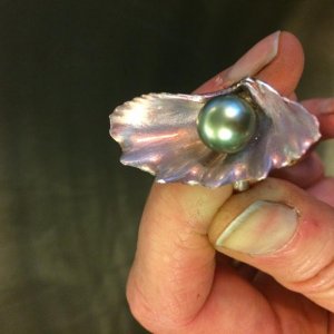 Shell ring 3