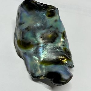 Natural Abalone Pearl from Mexico 196 carats