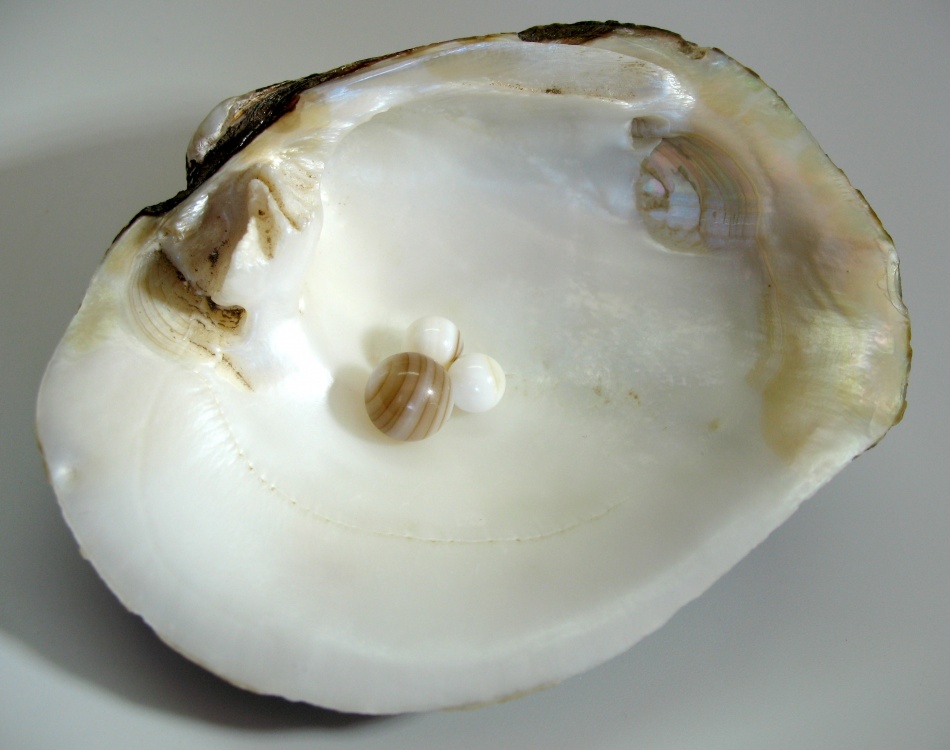 The Pearl Nucleus - Pearl-Guide.com