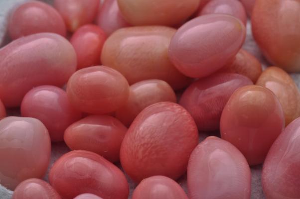 Assortment of fine Conch Pearls