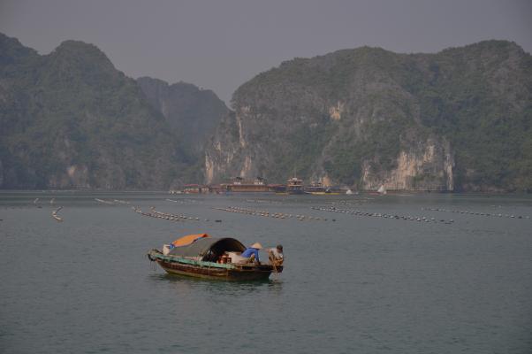 beautiful bay into HaLong Pearl farm