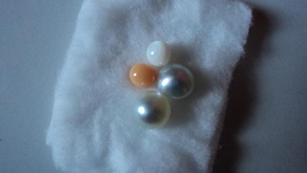 Conch, Tridacna, and Cultured Pearls