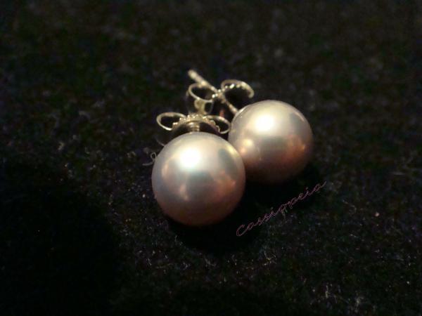 Exotic Metallic FW Pearls from PP (6.5-7mm)  silver with lavender/pink overtones