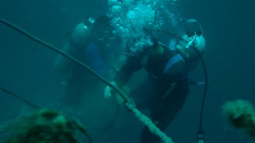 fixing a fallen line in Palawan