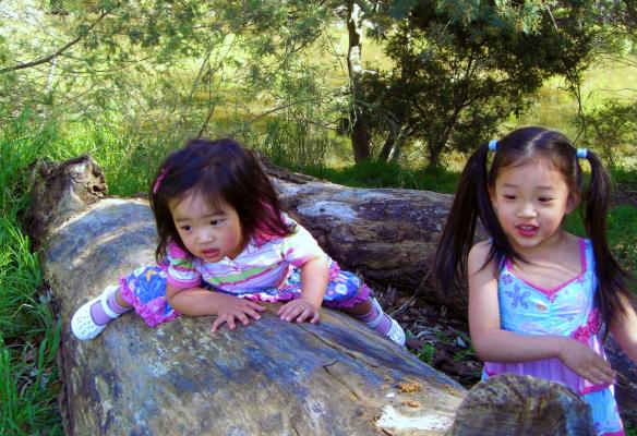 girls by the yarra