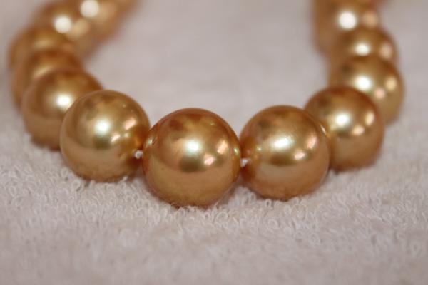 Golden South Sea pearl