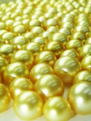 Golden South Sea Pearls