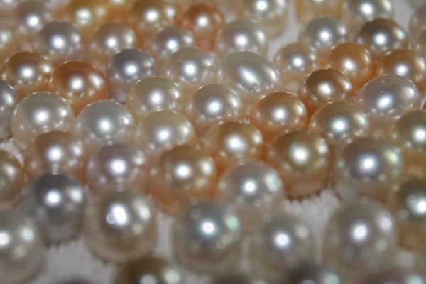 Lombok South Sea Pearl