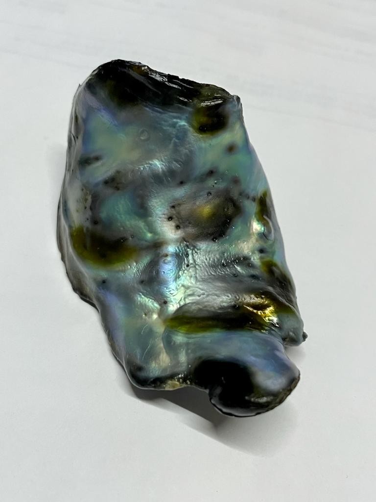 Natural Abalone Pearl from Mexico 196 carats