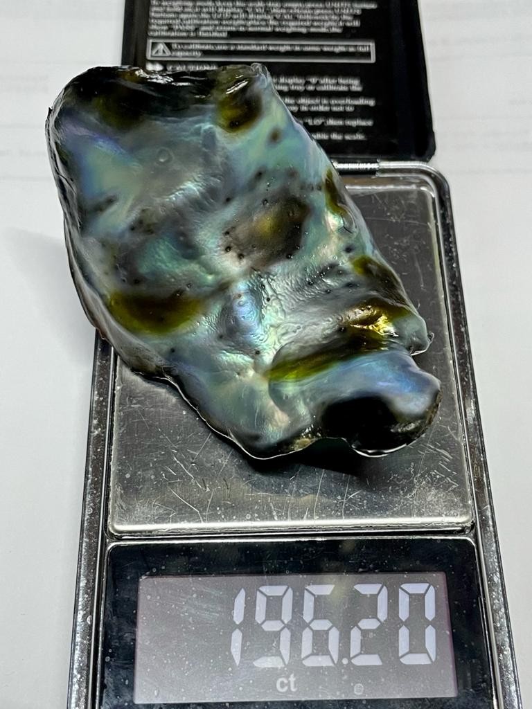 Natural Abalone Pearl from Mexico 196 carats