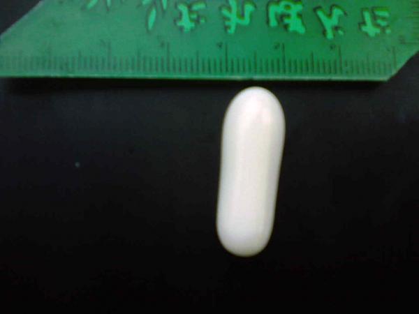 Natural Pearl of  Tridacna Gigas's Scalop