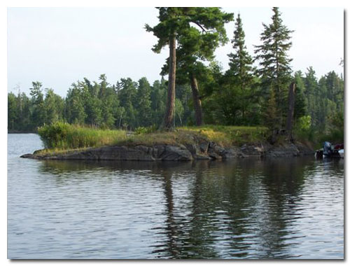 Shield country.. the trees can root on just rock! Very little soil  throughout. The lakes have rock bases and bare rock is used as base for building foundations. You can see striations in places on the ancient rock from glacier movement.