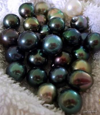 Tahitian Pearls