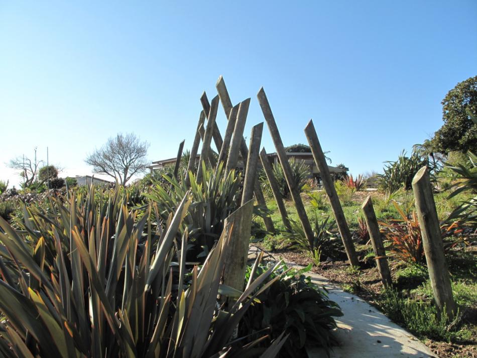 We are so lucky working in the beautiful country side of Oakura. In 2014 we have planted over 100 native flaxes on our studio side. Now fully grown, the flax walk can be enjoyed by our studio visitors on their way from the car park to the main entrance.